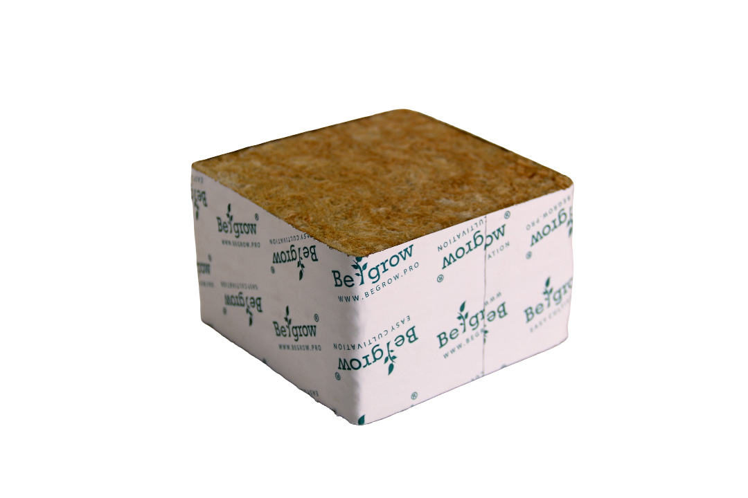 Begrow Cube 100x100x65 (без отвору / no hole)