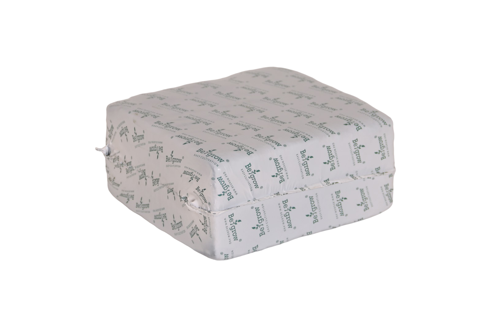 Begrow Slab Cannabis 200x200x100 mm (termo)