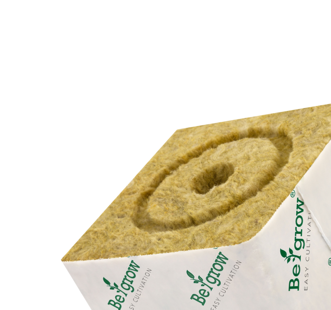 Кубик